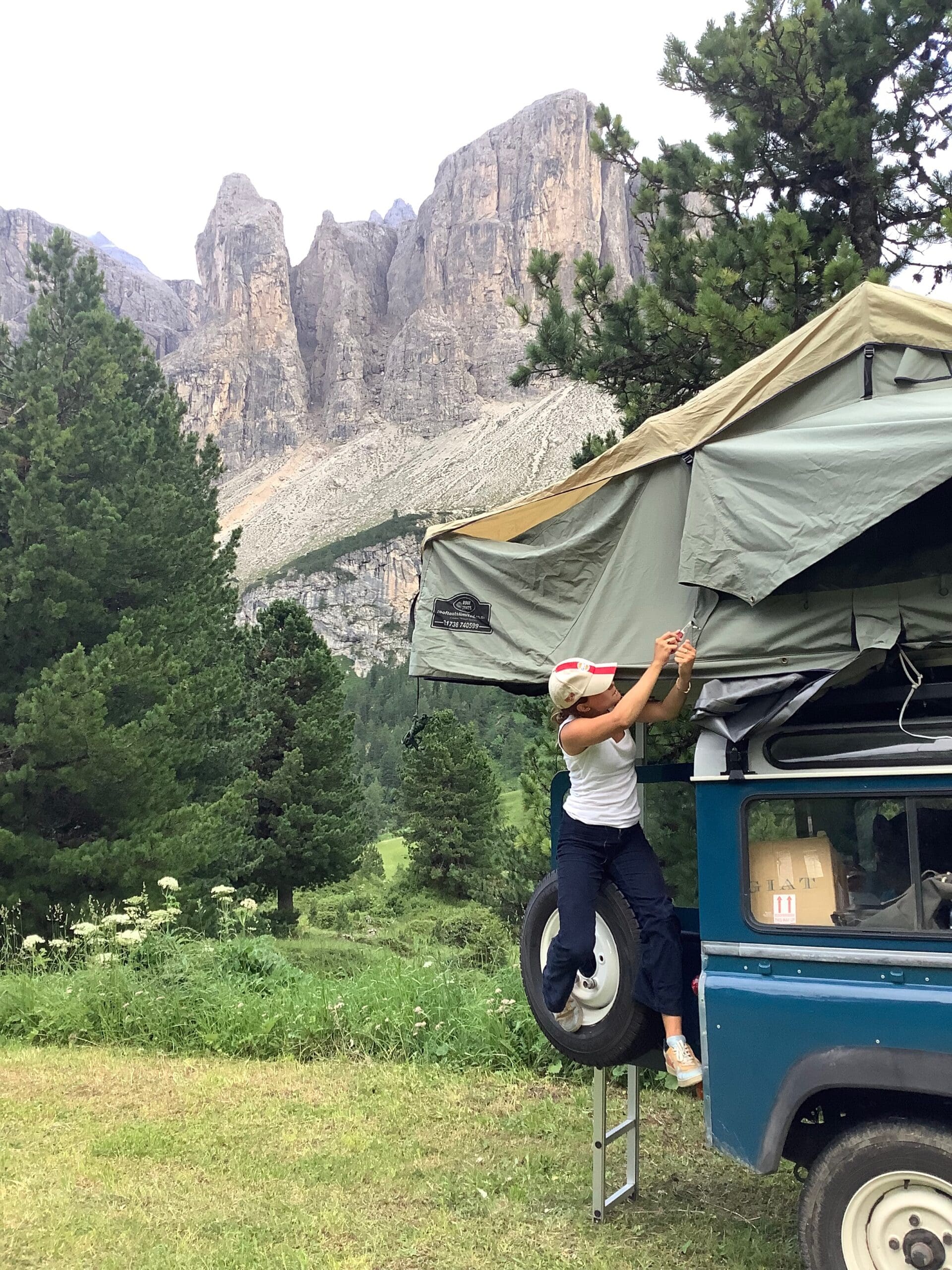 Our new roving reporter